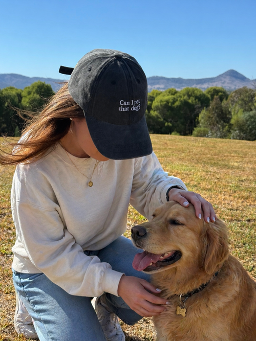 "Can I pet that dog? " Cap