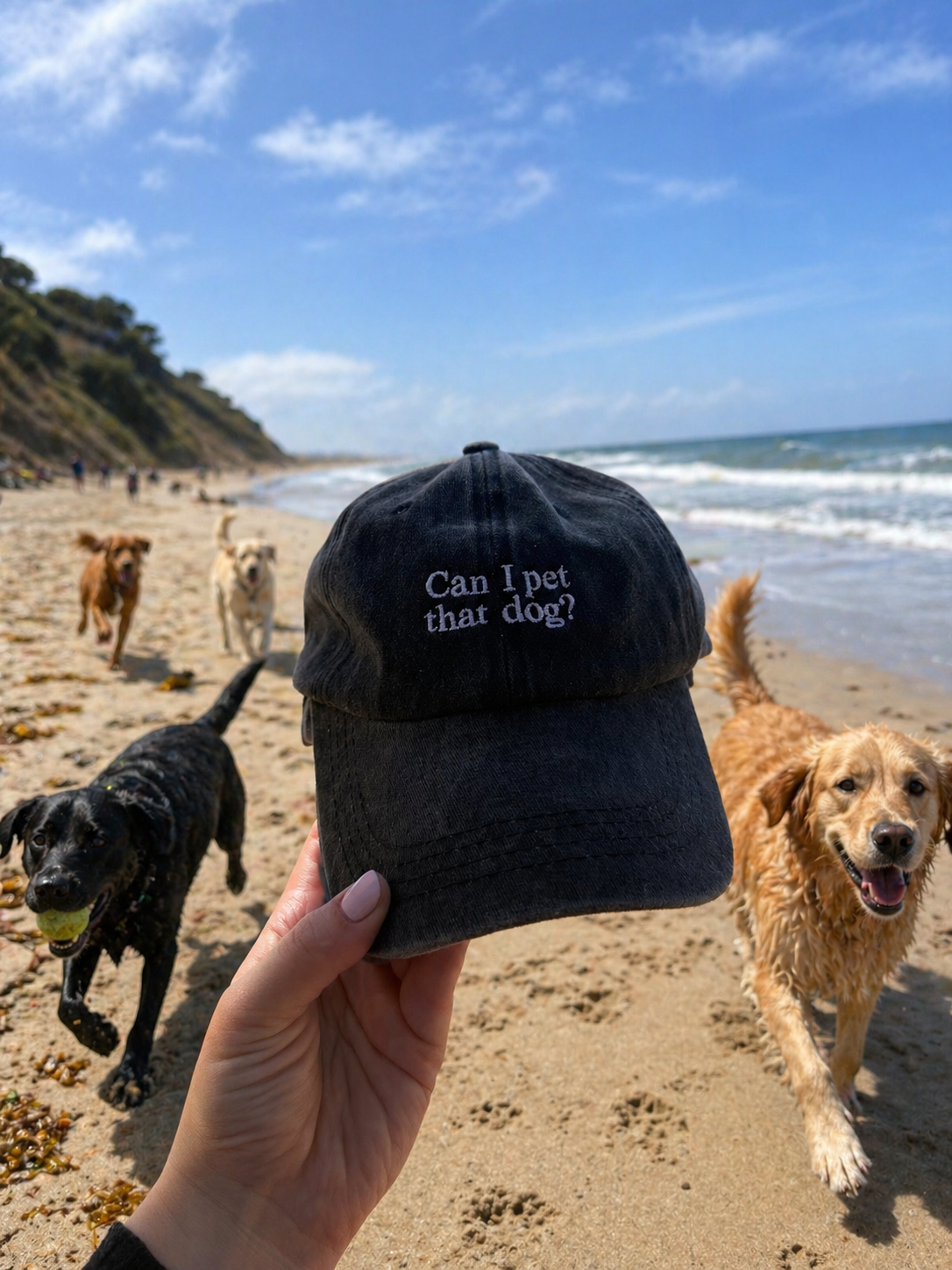 "Can I pet that dog? " Cap